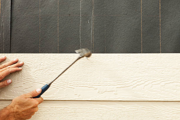 Affordable Siding Repair and Maintenance Services in Sedalia, MO